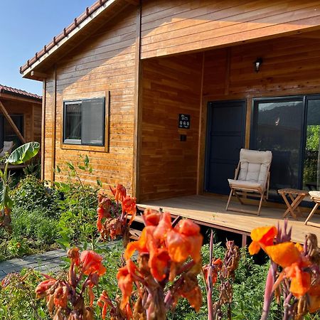 Lemon Garden Lodge Çıralı エクステリア 写真