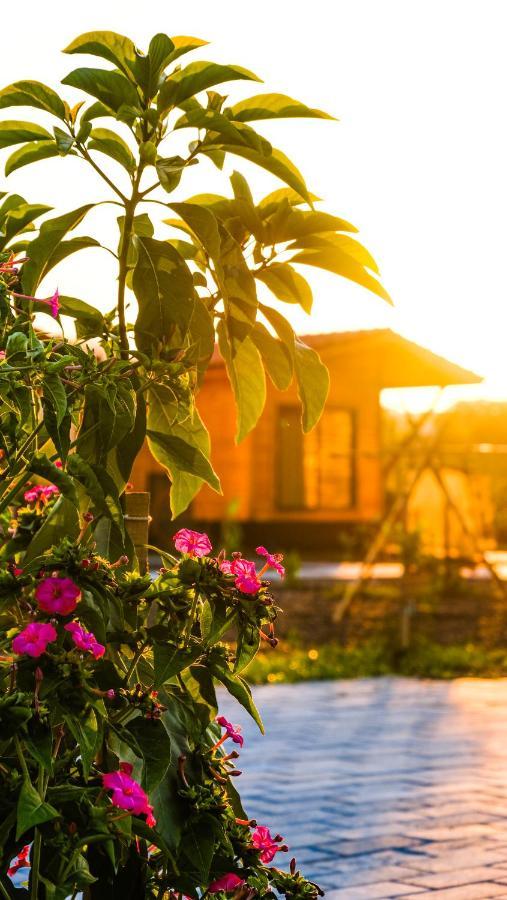 Lemon Garden Lodge Çıralı エクステリア 写真