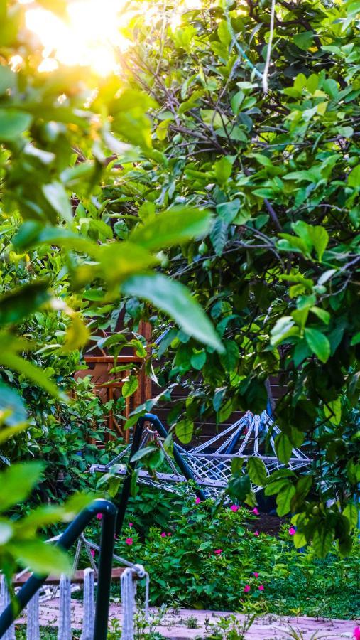 Lemon Garden Lodge Çıralı エクステリア 写真