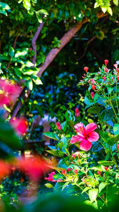 Lemon Garden Lodge Çıralı エクステリア 写真