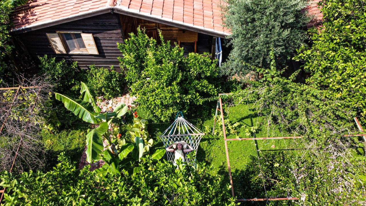 Lemon Garden Lodge Çıralı エクステリア 写真