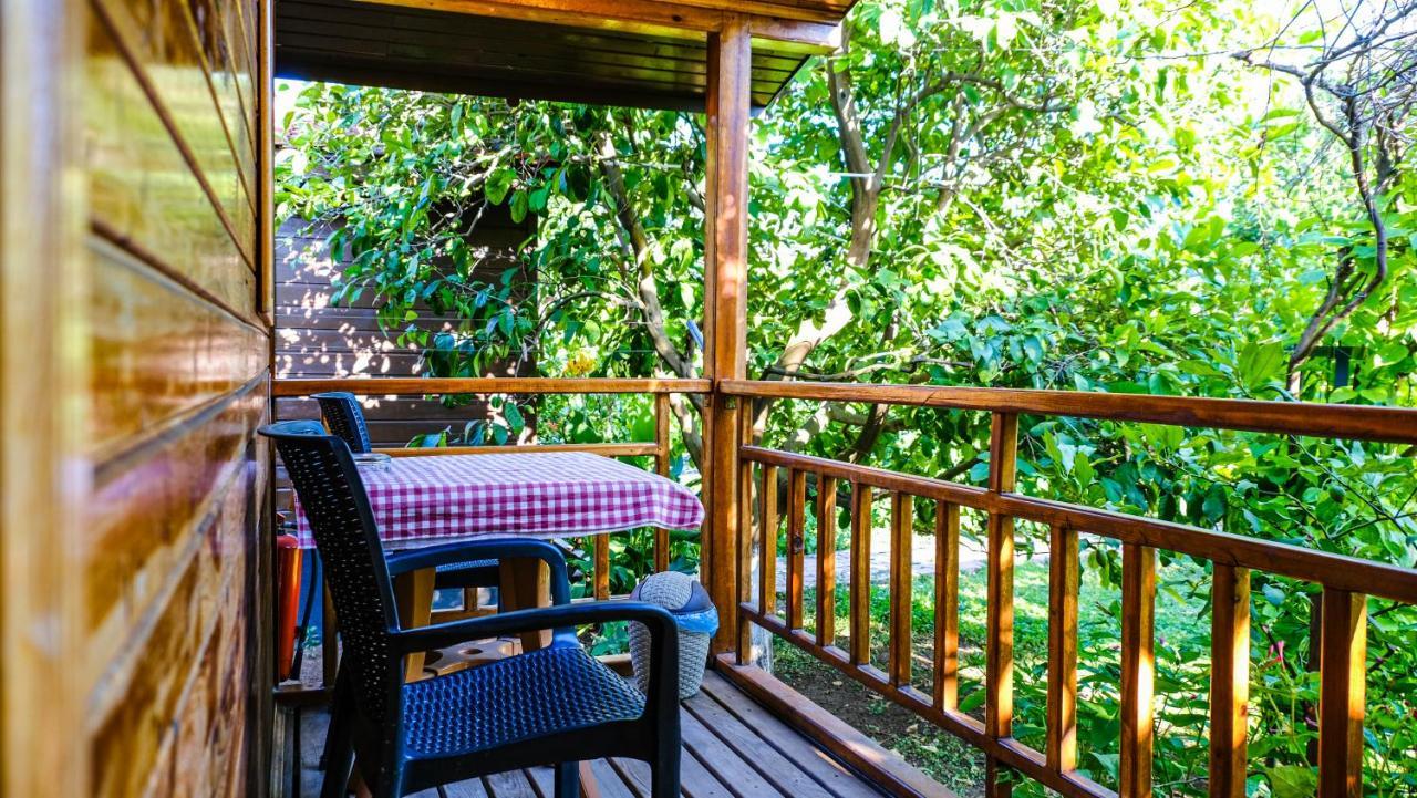 Lemon Garden Lodge Çıralı エクステリア 写真