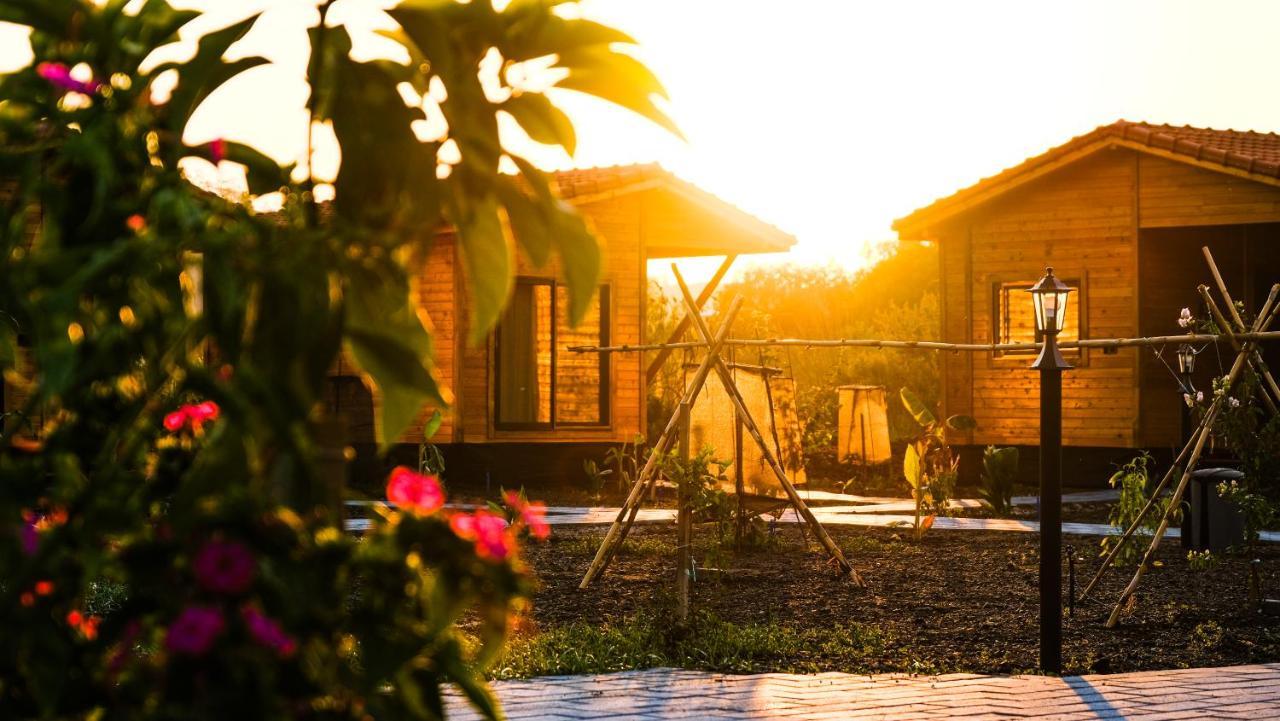 Lemon Garden Lodge Çıralı エクステリア 写真