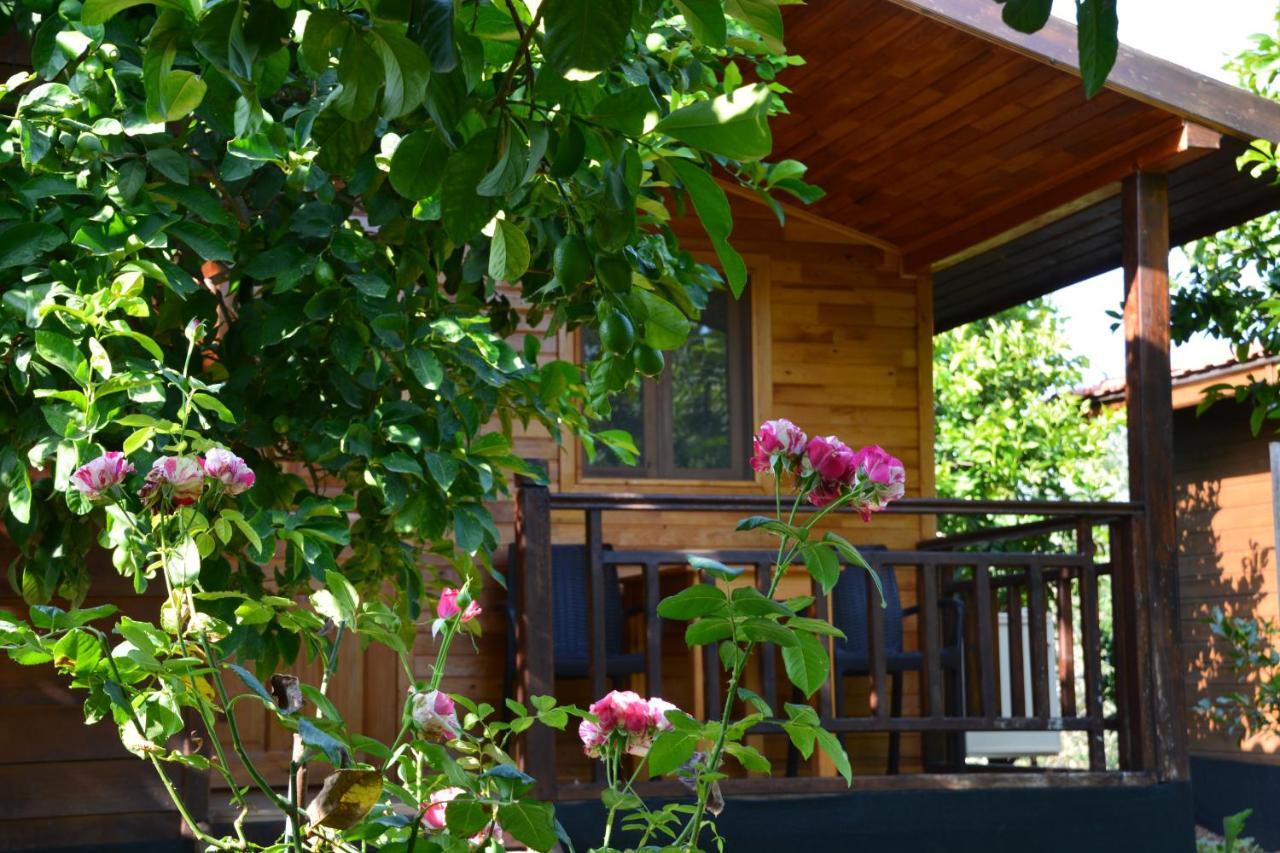 Lemon Garden Lodge Çıralı エクステリア 写真