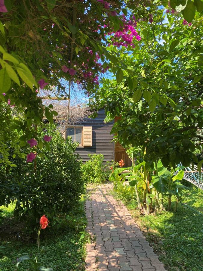 Lemon Garden Lodge Çıralı エクステリア 写真