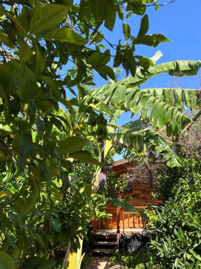 Lemon Garden Lodge Çıralı エクステリア 写真