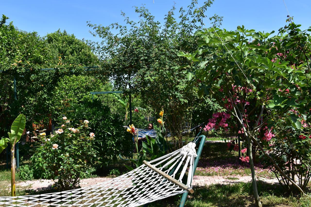 Lemon Garden Lodge Çıralı エクステリア 写真